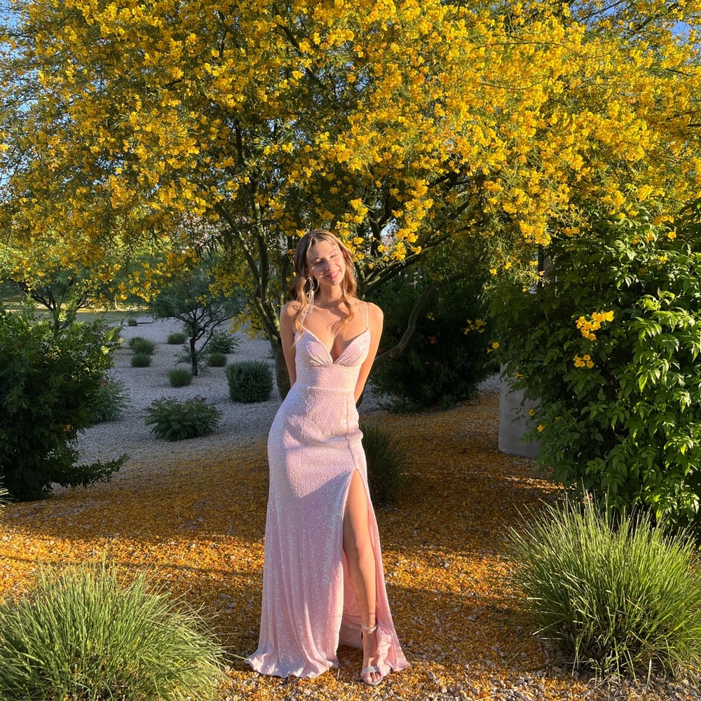 Windsor Light Pink Maxi Dress